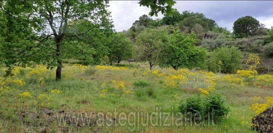 casa indipendente in vendita a Piedimonte Etneo