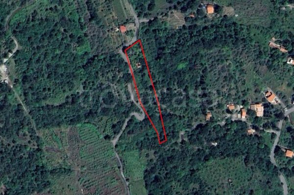 terreno agricolo in vendita a Piedimonte Etneo