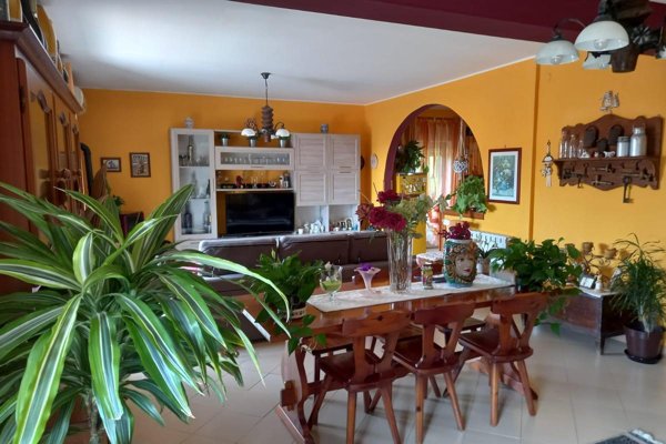 appartamento in vendita a Piedimonte Etneo