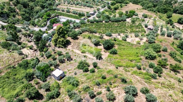 terreno agricolo in vendita a Piedimonte Etneo