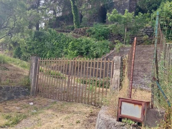 terreno agricolo in vendita a Piedimonte Etneo