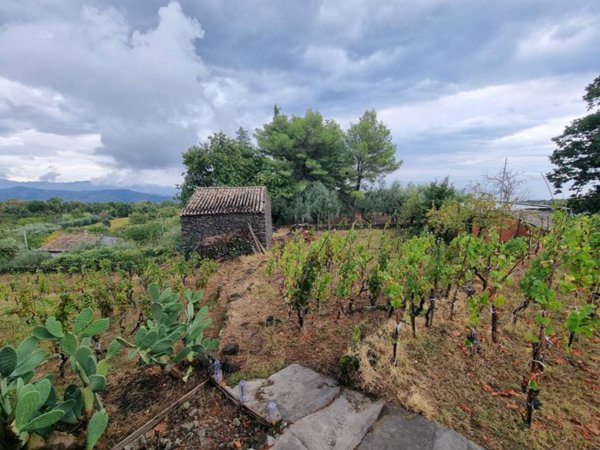 terreno agricolo in vendita a Piedimonte Etneo in zona Vena