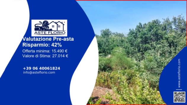 terreno agricolo in vendita a Piedimonte Etneo