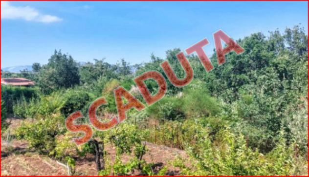 terreno agricolo in vendita a Piedimonte Etneo