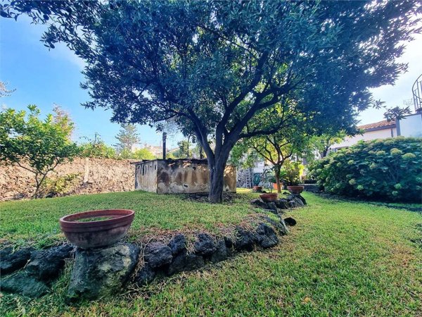 pentavano in vendita a Piedimonte Etneo