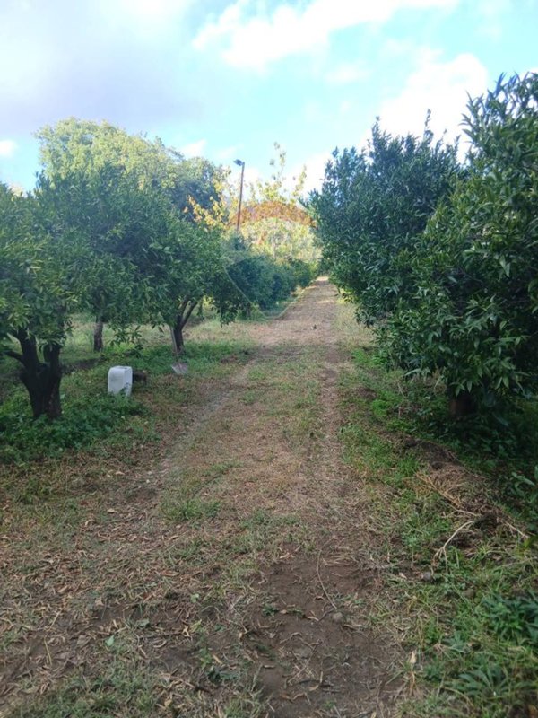 casa indipendente in vendita a Piedimonte Etneo
