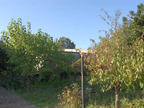 terreno agricolo in vendita a Piedimonte Etneo
