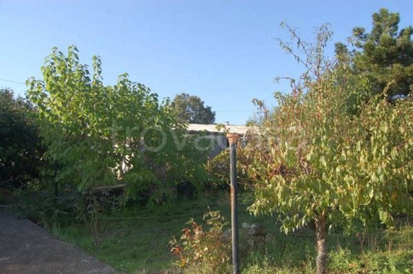 casa indipendente in vendita a Piedimonte Etneo