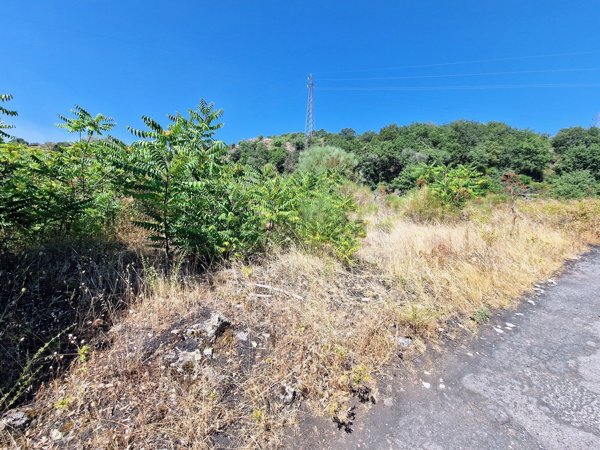 terreno agricolo in vendita a Piedimonte Etneo in zona Presa
