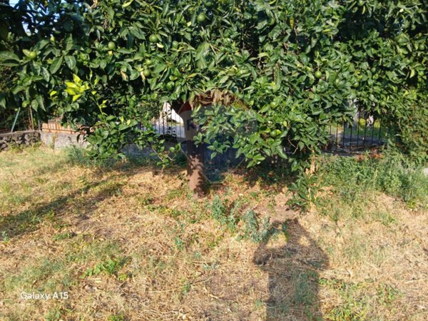 casa indipendente in vendita a Piedimonte Etneo
