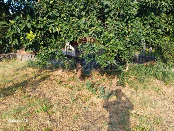 casa indipendente in vendita a Piedimonte Etneo