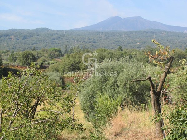 terreno agricolo in vendita a Piedimonte Etneo