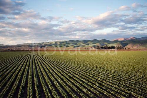 casa indipendente in vendita a Piedimonte Etneo