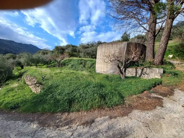 terreno agricolo in vendita a Piedimonte Etneo