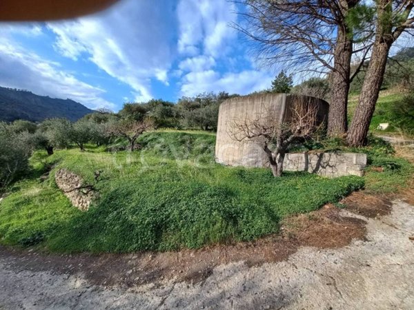 terreno agricolo in vendita a Piedimonte Etneo