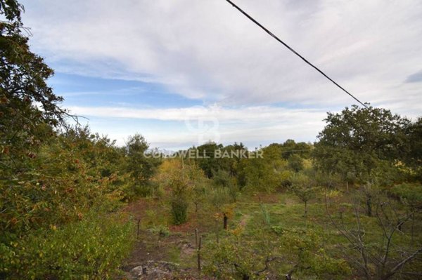 terreno agricolo in vendita a Piedimonte Etneo in zona Vena