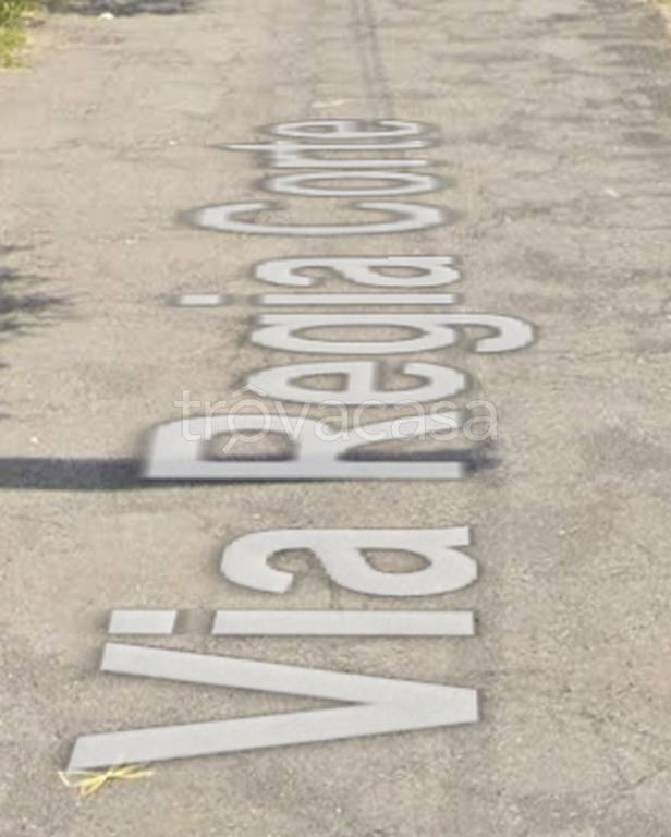 negozio in vendita a Piedimonte Etneo