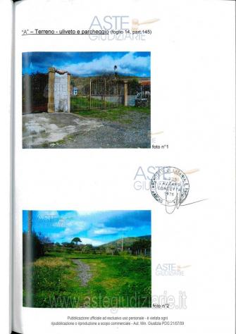 terreno agricolo in vendita a Piedimonte Etneo