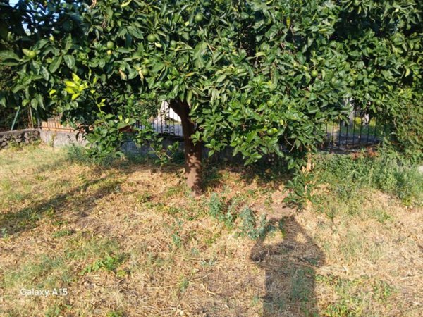 casa indipendente in vendita a Piedimonte Etneo