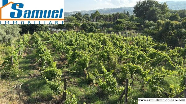 terreno agricolo in vendita a Piedimonte Etneo