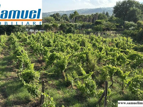 terreno agricolo in vendita a Piedimonte Etneo
