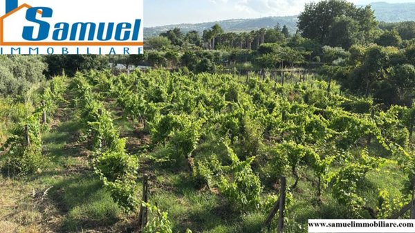 terreno agricolo in vendita a Piedimonte Etneo