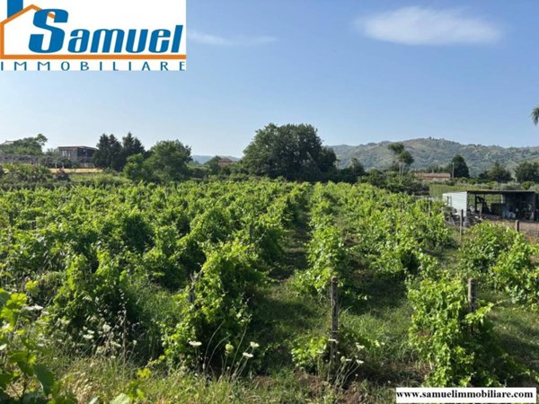 terreno agricolo in vendita a Piedimonte Etneo