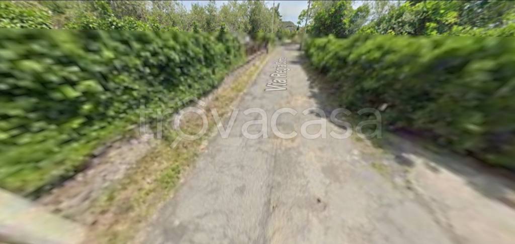 terreno agricolo in vendita a Piedimonte Etneo