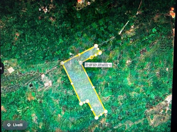 terreno agricolo in vendita a Piedimonte Etneo