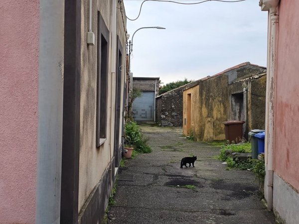 immagine annuncio 0 di 1