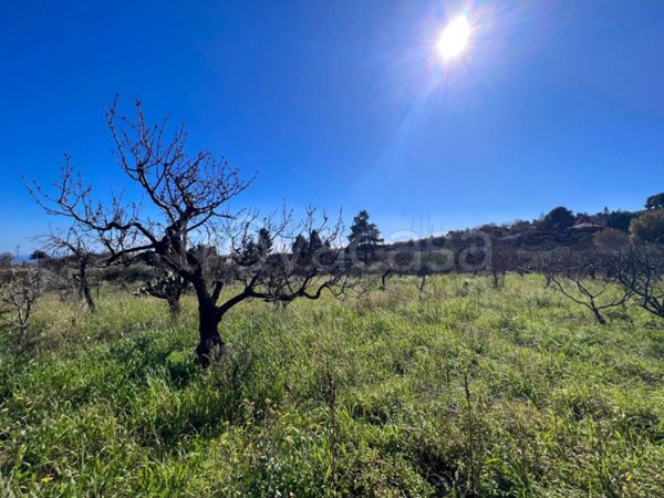 terreno agricolo in vendita a Piedimonte Etneo in zona Presa
