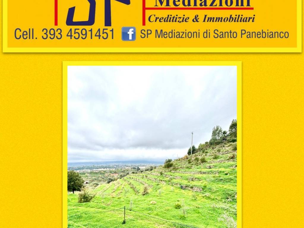 terreno agricolo in vendita a Piedimonte Etneo