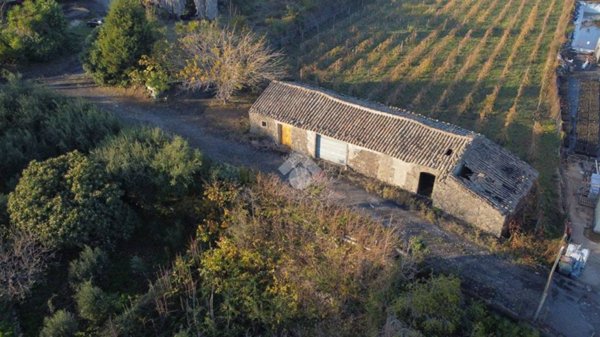 terreno agricolo in vendita a Piedimonte Etneo