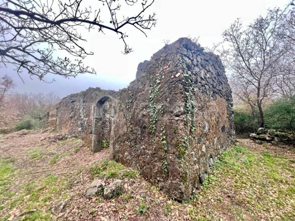 terreno agricolo in vendita a Piedimonte Etneo