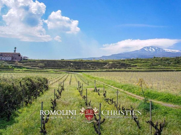 casa indipendente in vendita a Piedimonte Etneo