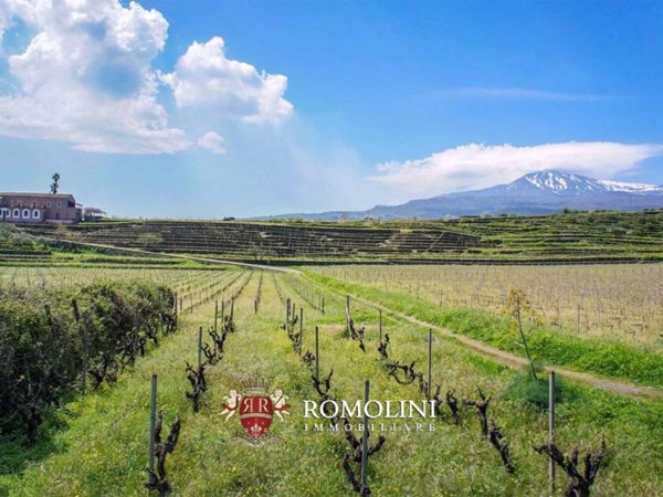 casa indipendente in vendita a Piedimonte Etneo