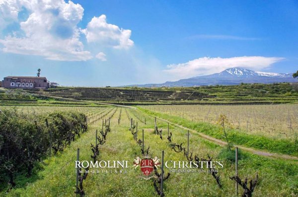 casa indipendente in vendita a Piedimonte Etneo