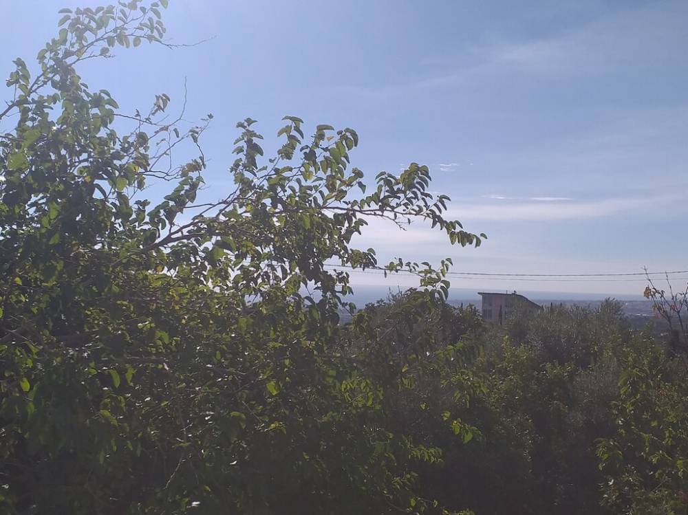 casa indipendente in vendita a Piedimonte Etneo