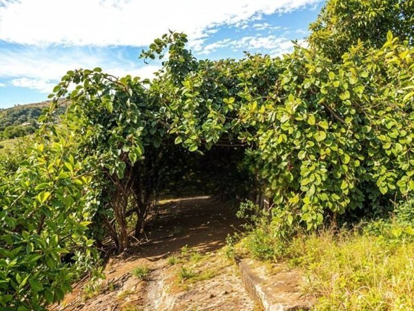 casa indipendente in vendita a Piedimonte Etneo