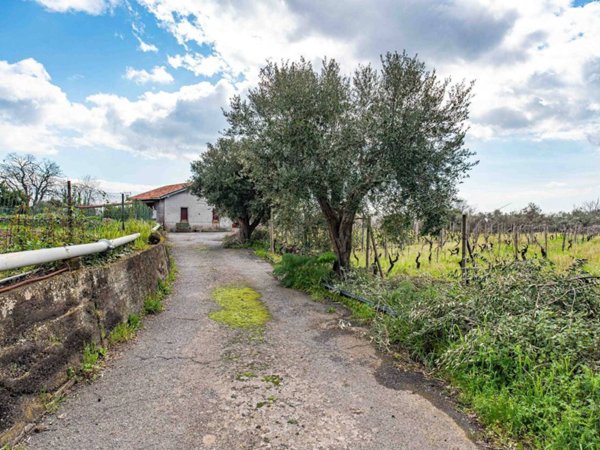 casa indipendente in vendita a Piedimonte Etneo