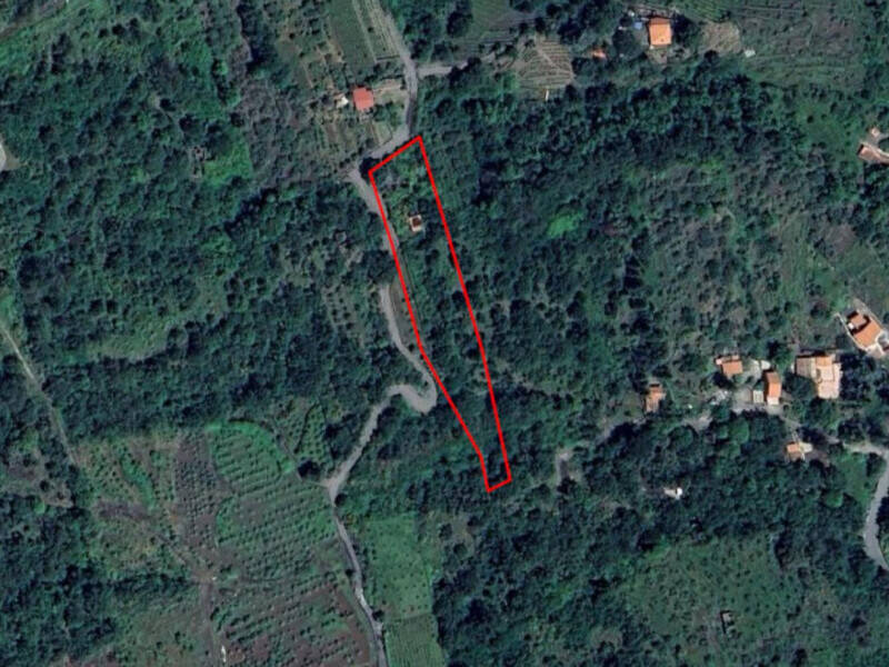 terreno agricolo in vendita a Piedimonte Etneo