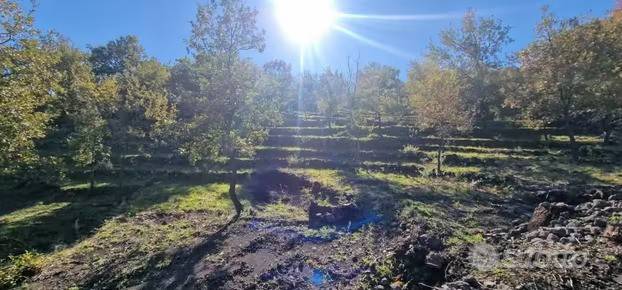 terreno agricolo in vendita a Piedimonte Etneo in zona Presa