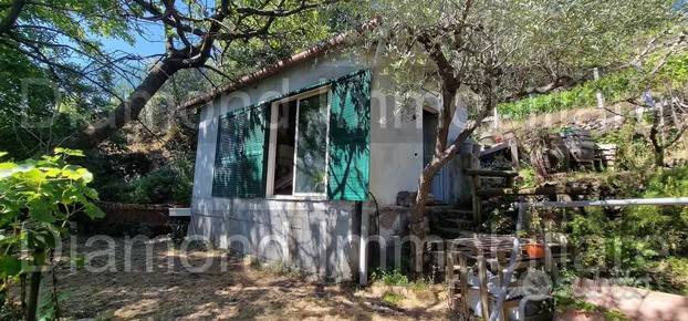 terreno agricolo in vendita a Piedimonte Etneo in zona Presa