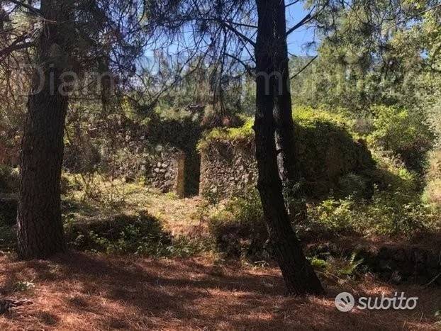 terreno agricolo in vendita a Piedimonte Etneo