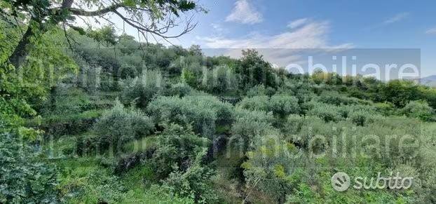 casale in vendita a Piedimonte Etneo