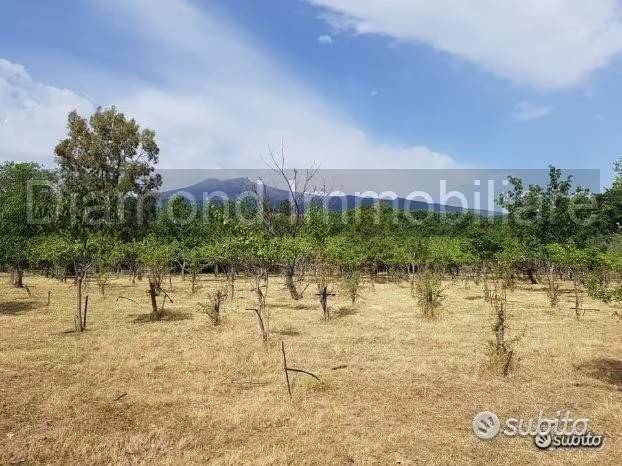 terreno agricolo in vendita a Piedimonte Etneo