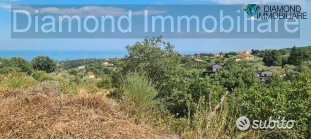 terreno agricolo in vendita a Piedimonte Etneo