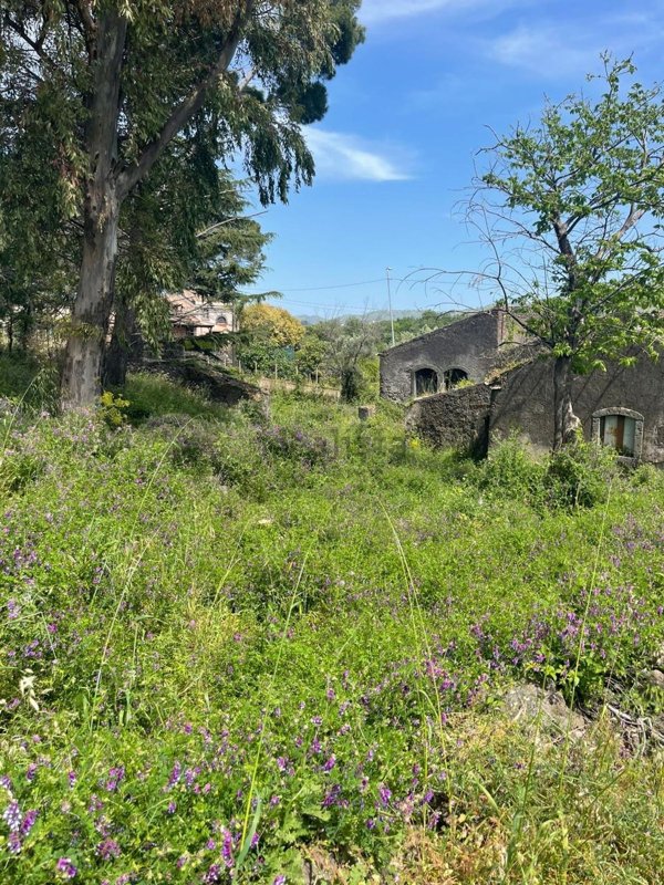 terreno agricolo in vendita a Piedimonte Etneo