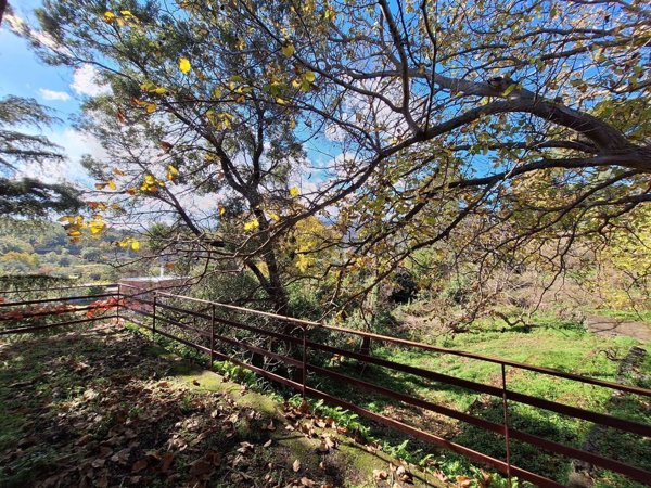 quadrivano in vendita a Piedimonte Etneo