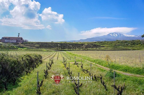 casa indipendente in vendita a Piedimonte Etneo
